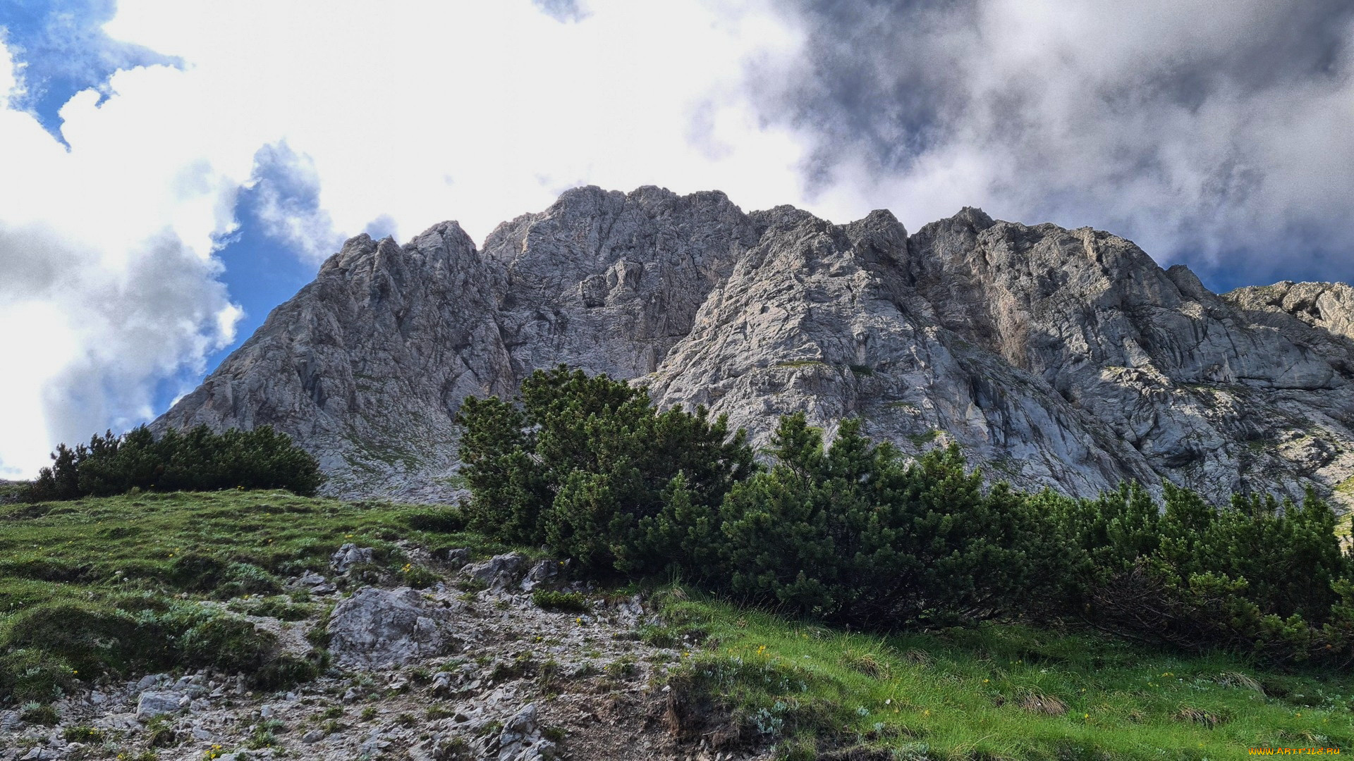 admonter kalbling, styria, austria, , , admonter, kalbling